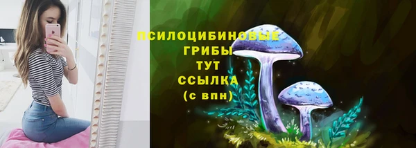 прущий лед Нея