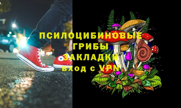 МДПВ Нефтегорск