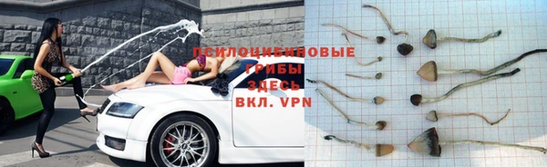 каннабис Нефтекумск