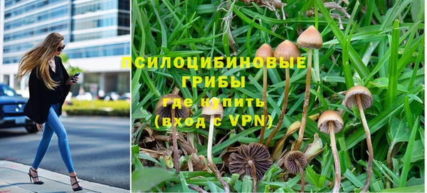 прущий лед Нея