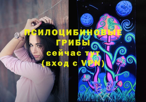 МДПВ Нефтегорск