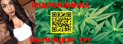 ешки Абакан