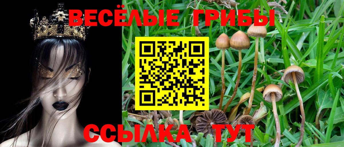 купить  цена  Псилоцибиновые грибы Psilocybe  Галлюциногенные грибы мицелий  Вход с VPN  Крымск 