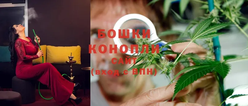 Бошки марихуана OG Kush  Крымск 